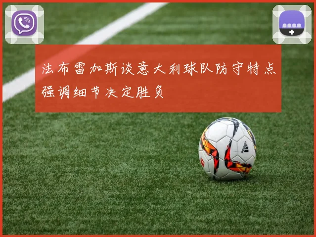 法布雷加斯谈意大利球队防守特点强调细节决定胜负